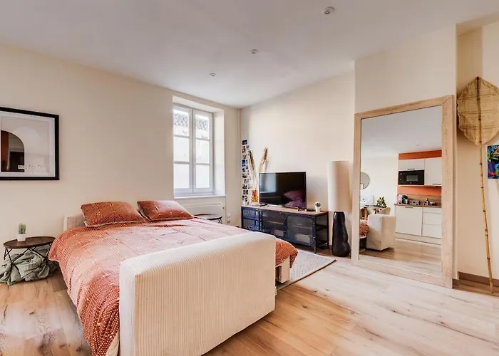Apartamento Chez Seb - Raffine Et Accueillant Carcassonne